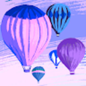 Meet your Posher, Kaylin